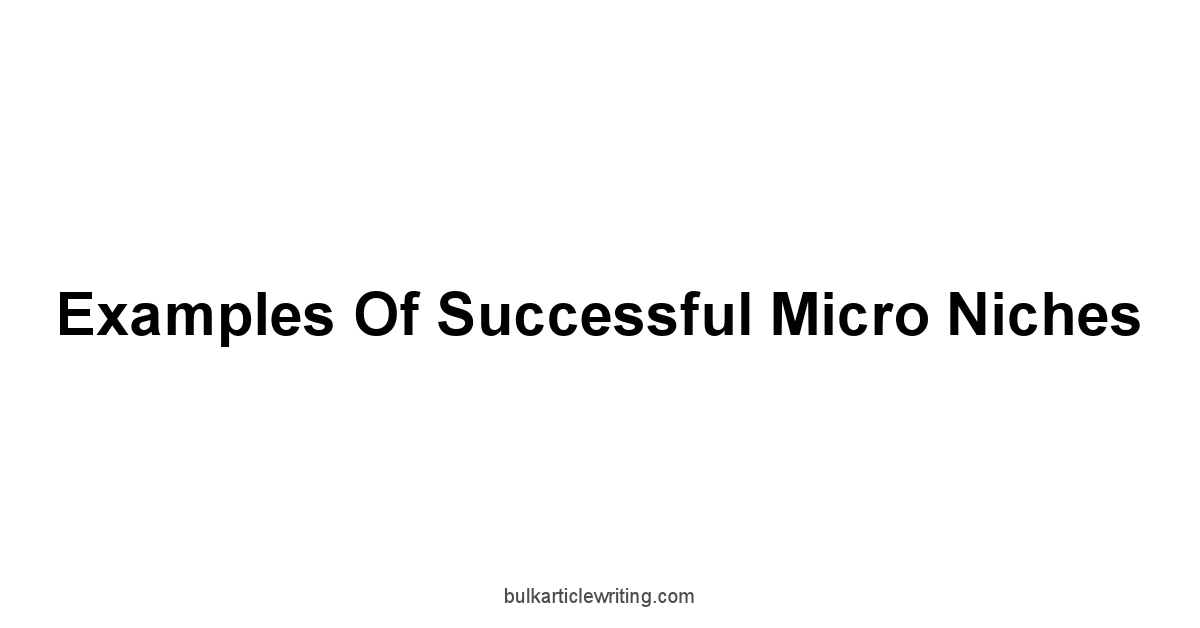 Examples of Successful Micro Niches