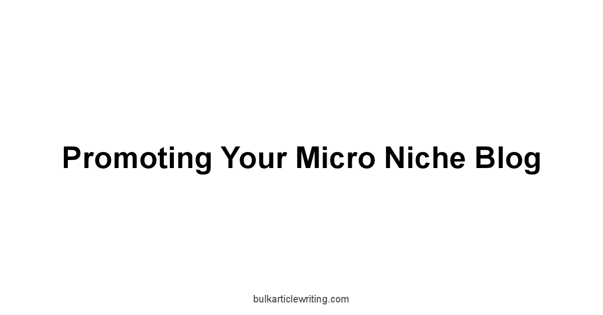 Promoting Your Micro Niche Blog