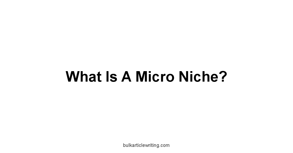 What is a Micro Niche?